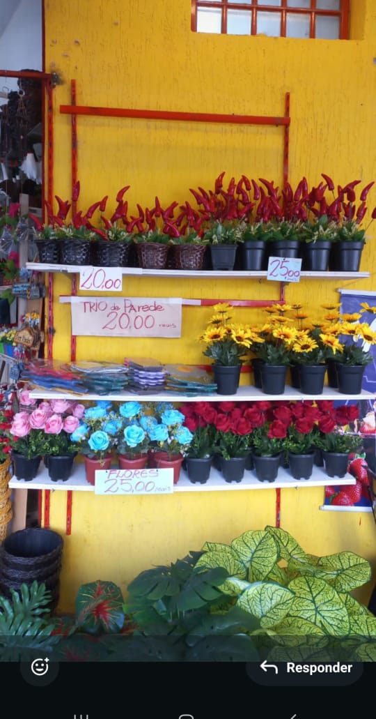 Floricultura Antes